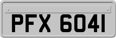 PFX6041