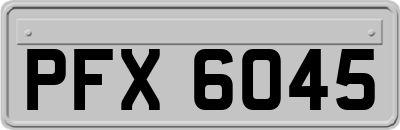 PFX6045