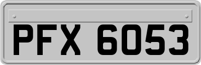 PFX6053
