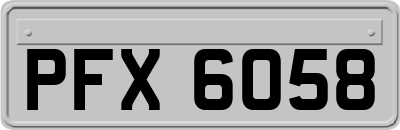 PFX6058