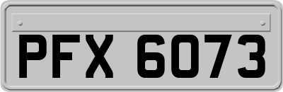 PFX6073