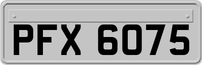 PFX6075