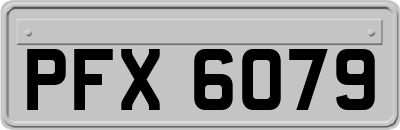 PFX6079