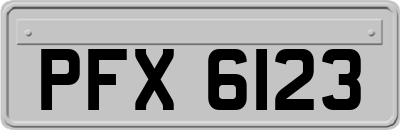 PFX6123