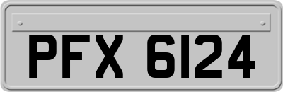 PFX6124