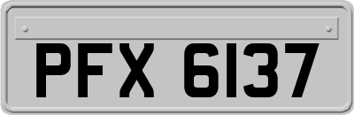 PFX6137