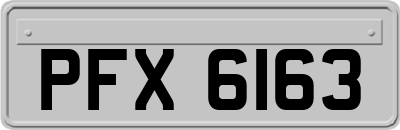 PFX6163