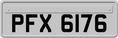 PFX6176