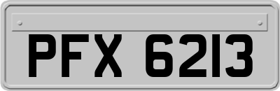 PFX6213