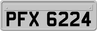 PFX6224