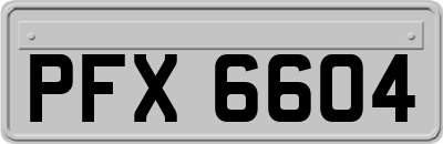 PFX6604