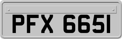 PFX6651