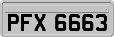 PFX6663