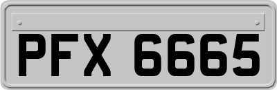 PFX6665
