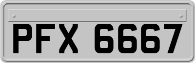 PFX6667