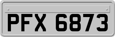 PFX6873