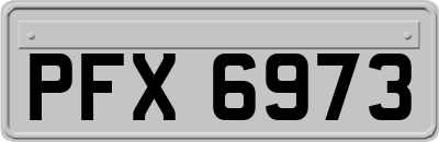 PFX6973