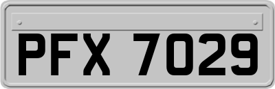 PFX7029