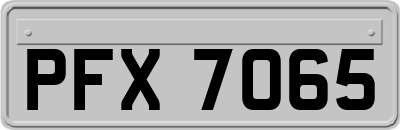 PFX7065