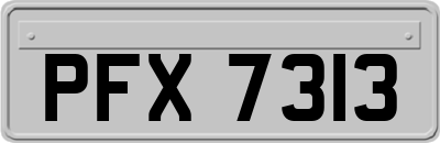 PFX7313