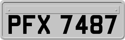PFX7487
