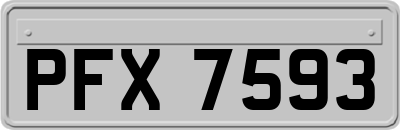 PFX7593