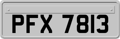 PFX7813