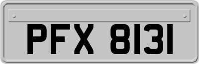 PFX8131