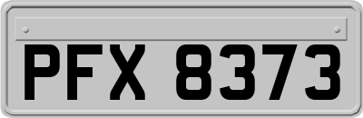 PFX8373