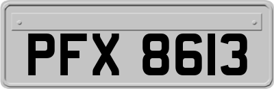 PFX8613