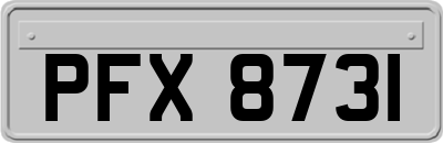 PFX8731