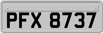 PFX8737