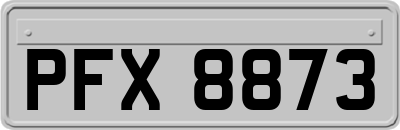 PFX8873
