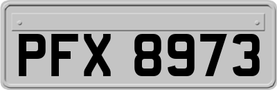 PFX8973