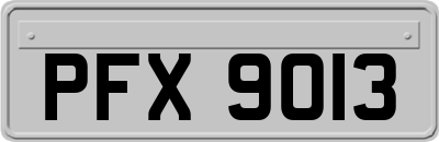 PFX9013