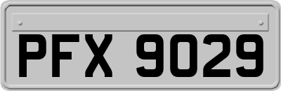 PFX9029