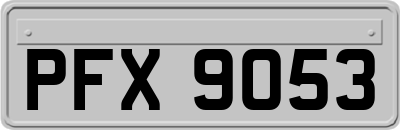 PFX9053