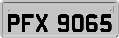 PFX9065