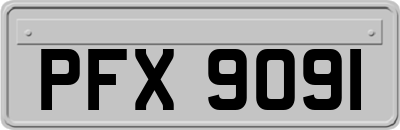 PFX9091
