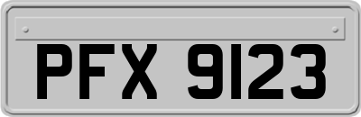 PFX9123