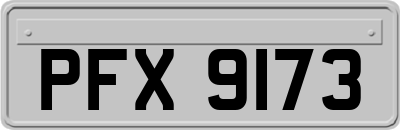 PFX9173