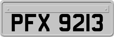 PFX9213