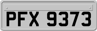 PFX9373
