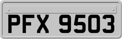 PFX9503