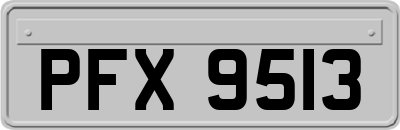 PFX9513
