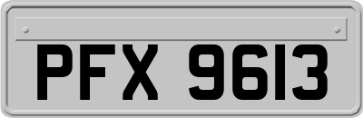 PFX9613