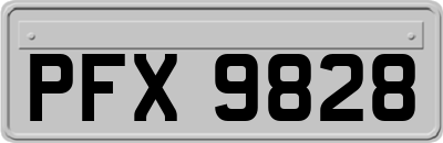 PFX9828