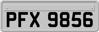 PFX9856