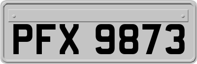 PFX9873
