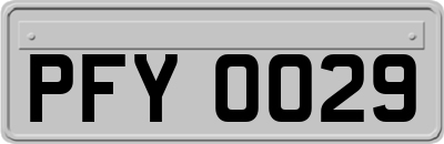 PFY0029